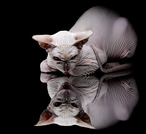 JiuyouAPP下载-国际冲浪电影节，展现海上运动的动感魅力，冲浪题材电影