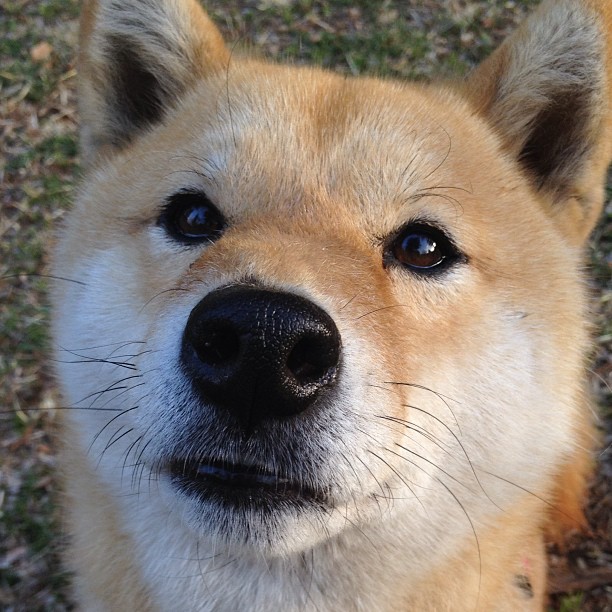 JIUYOU GAMING-哥伦比亚女足在巴黎奥运会比赛中以3-0战胜美国，哥伦比亚足球美女