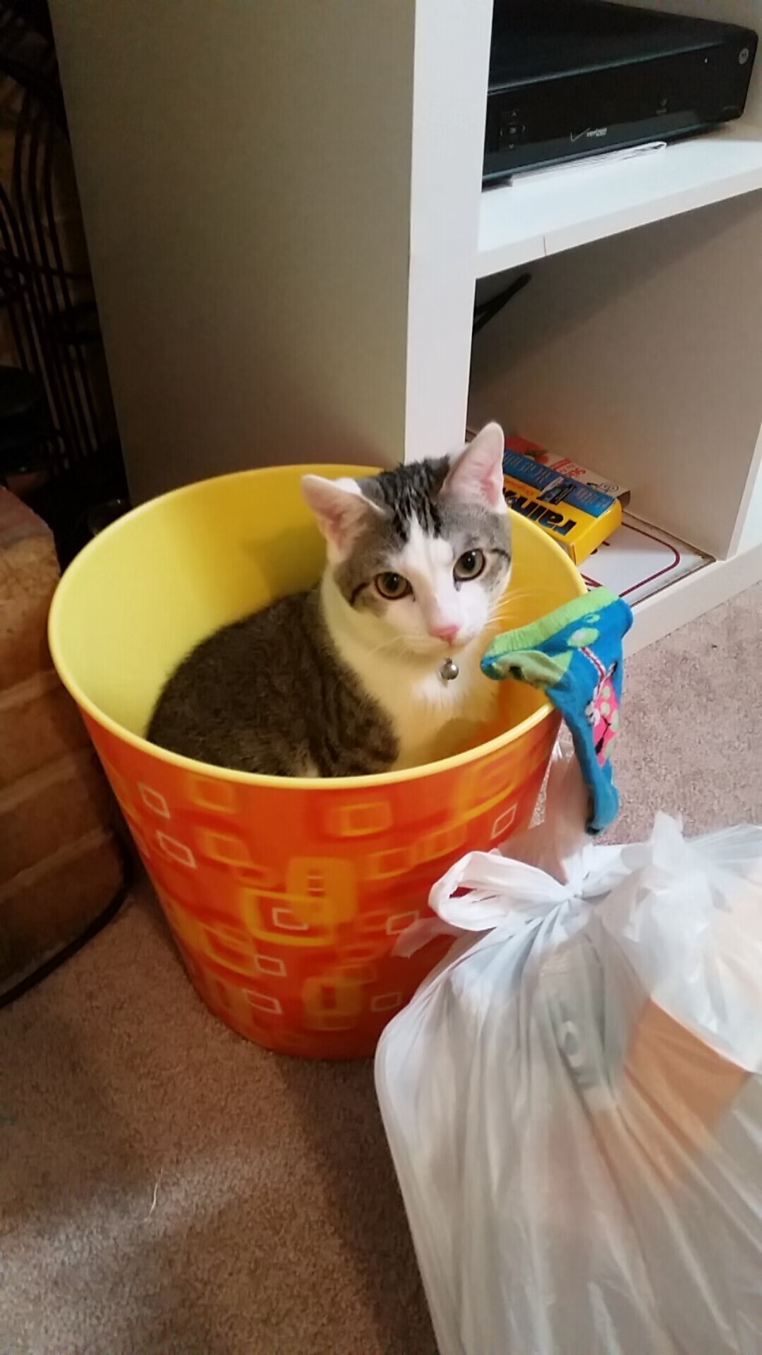 巴西男足未能卫冕奥运金牌,阿根廷取而代之,巴西男足从未获得过奥运会足球比赛冠军