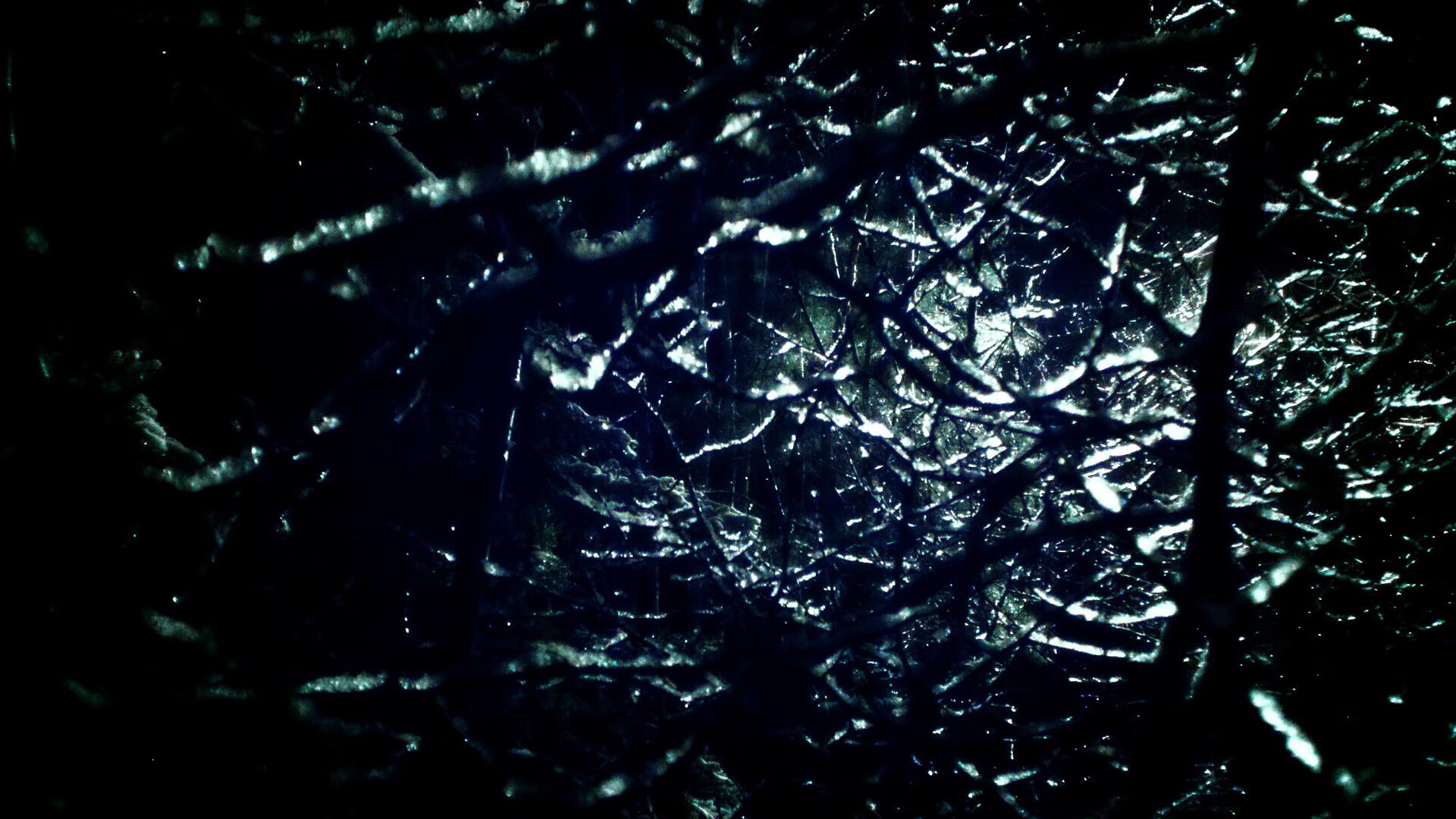 九游sports-日本马术协会举办马匹护理培训班，提高骑手护理技能。，日本马术场地惊现恐怖场景