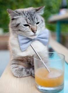 九游官网下载电脑版-预测爆点：谁会成为比赛最大赢家？