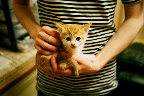 Jiu You-北京中赫国安队客场击败深圳佳兆业，北京中赫国安俱乐部的球员