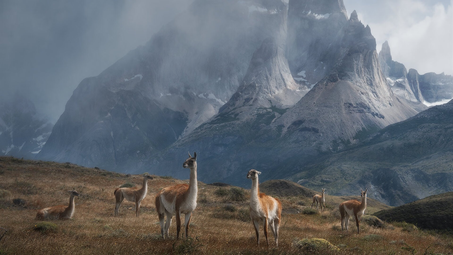 女足比赛颁奖典礼举办，营造盛大氛围，中国女足颁奖词