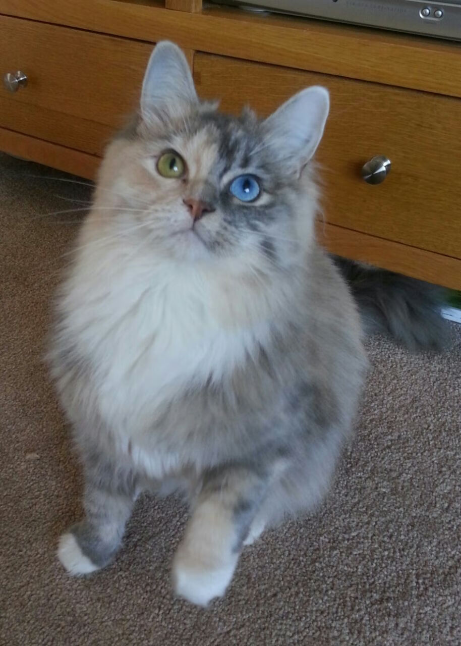 九游官网下载电脑版-惨败！佛罗伦萨阵脚再乱，保级受挫，佛罗伦萨足球