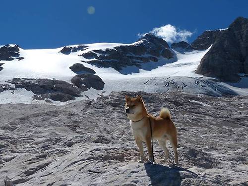 九游网-毕尔巴鄂竞技客场1-0小胜赫塔费，取得宝贵三分，西甲毕尔巴鄂对赫塔菲