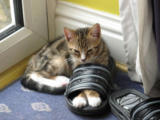 九游(jiuyou)官方网站-石油人进攻端效率持续提升，石油人现场练兵精神