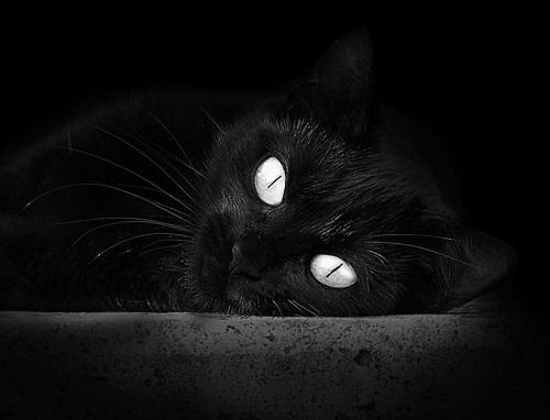 九游网页版入口-阿贾克斯在客场-战胜松浦鹿儿岛，阿贾克斯对鹿特丹斯巴达