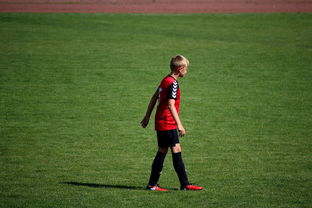 九游娱乐-NBA球员高原训练对平原比赛状态的影响，平原运动员进行高原训练原因