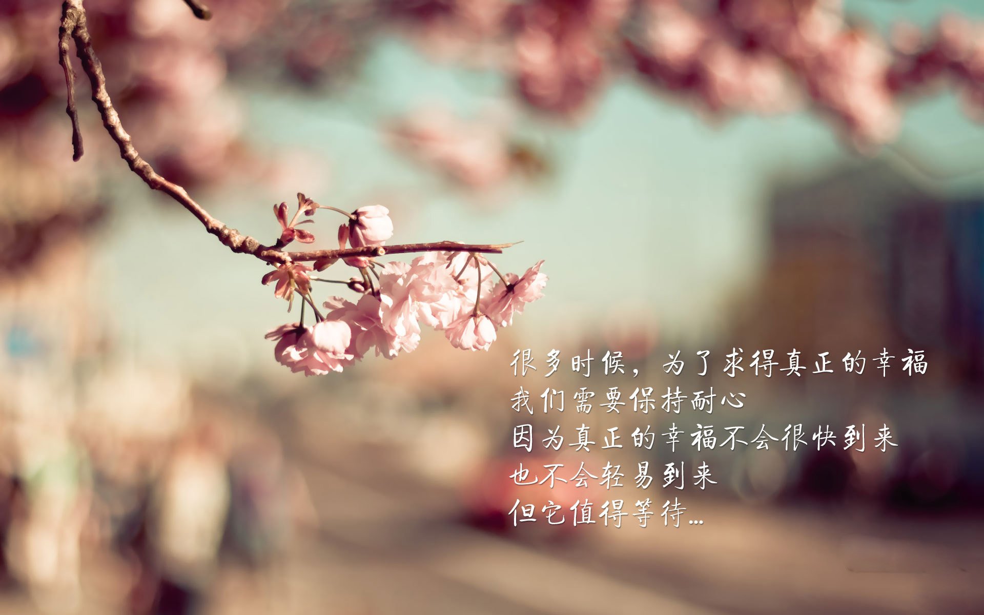 九游app下载中心-CBA赛季中期总结 多队调整战术重心，cba 阶段