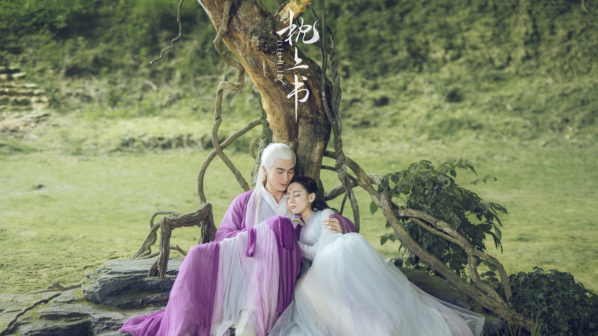 2026世界杯：场馆融合未来科技，观众体验空前提升，2026年世界杯球场