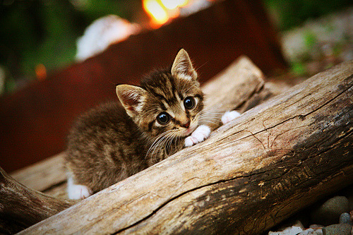 九游(jiuyou)官方网站-俱乐部打造科技体验馆，增强球迷沉浸感，科技体验营