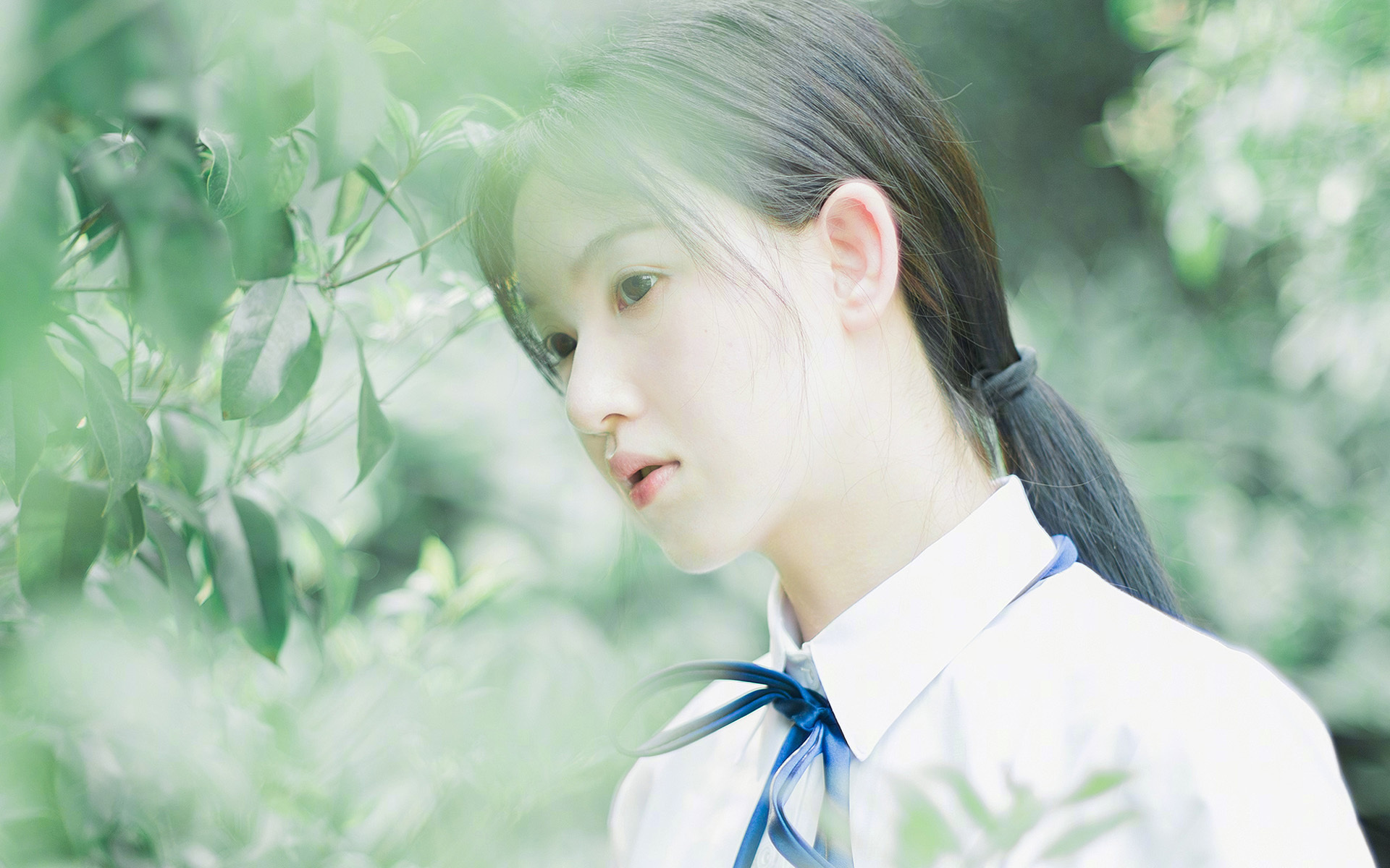 体育新闻中心训练计划解析,体育新闻报道新闻稿