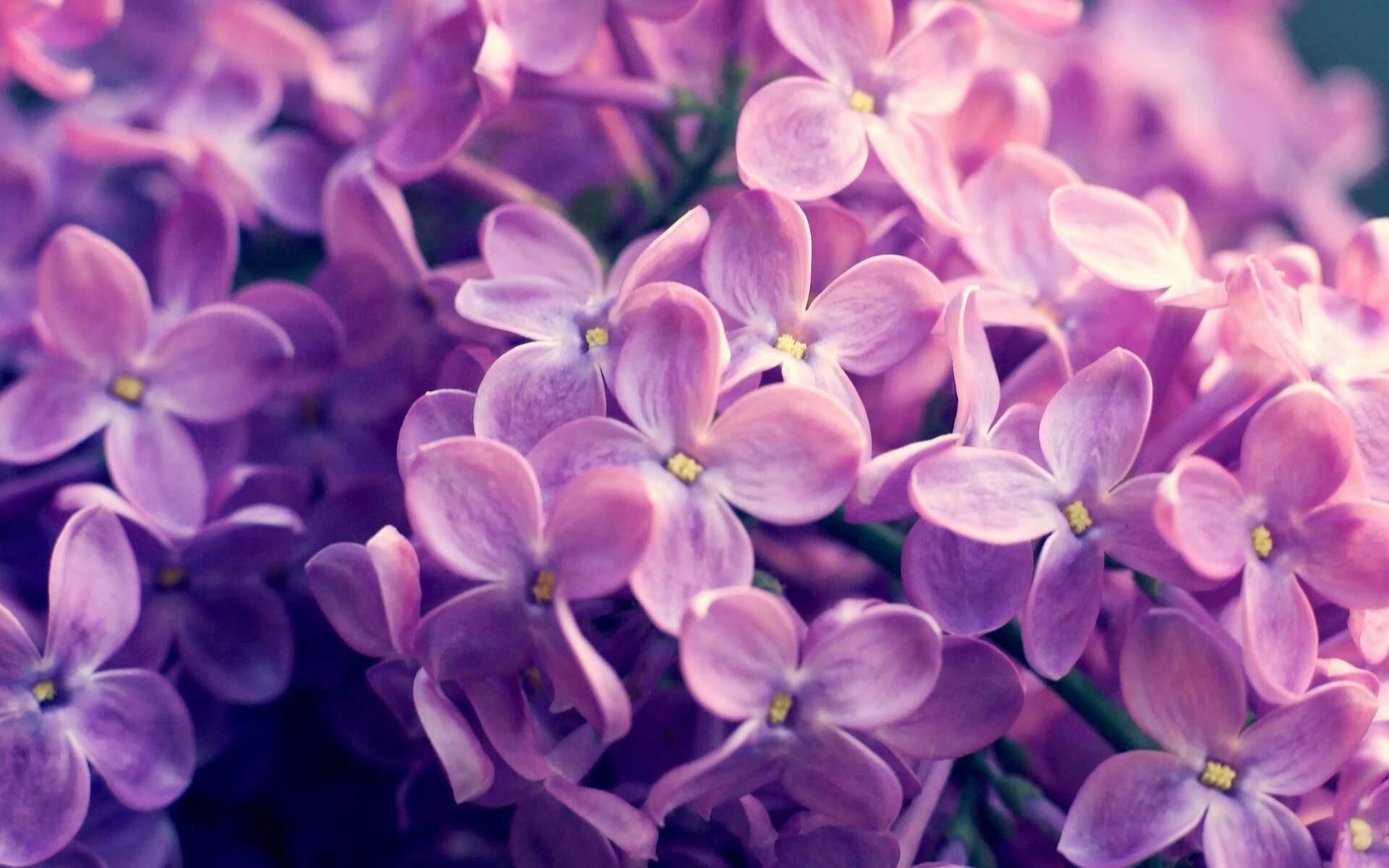 巴雷特:全黑队进攻的智囊,帮助球队打开对方防线,巴雷特实拍