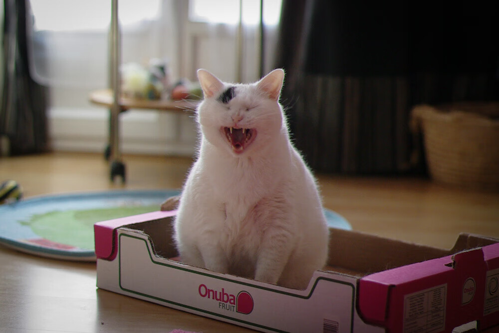 九游网游官网-德甲火力全开：攻守兼备，场面震撼！，德甲德甲