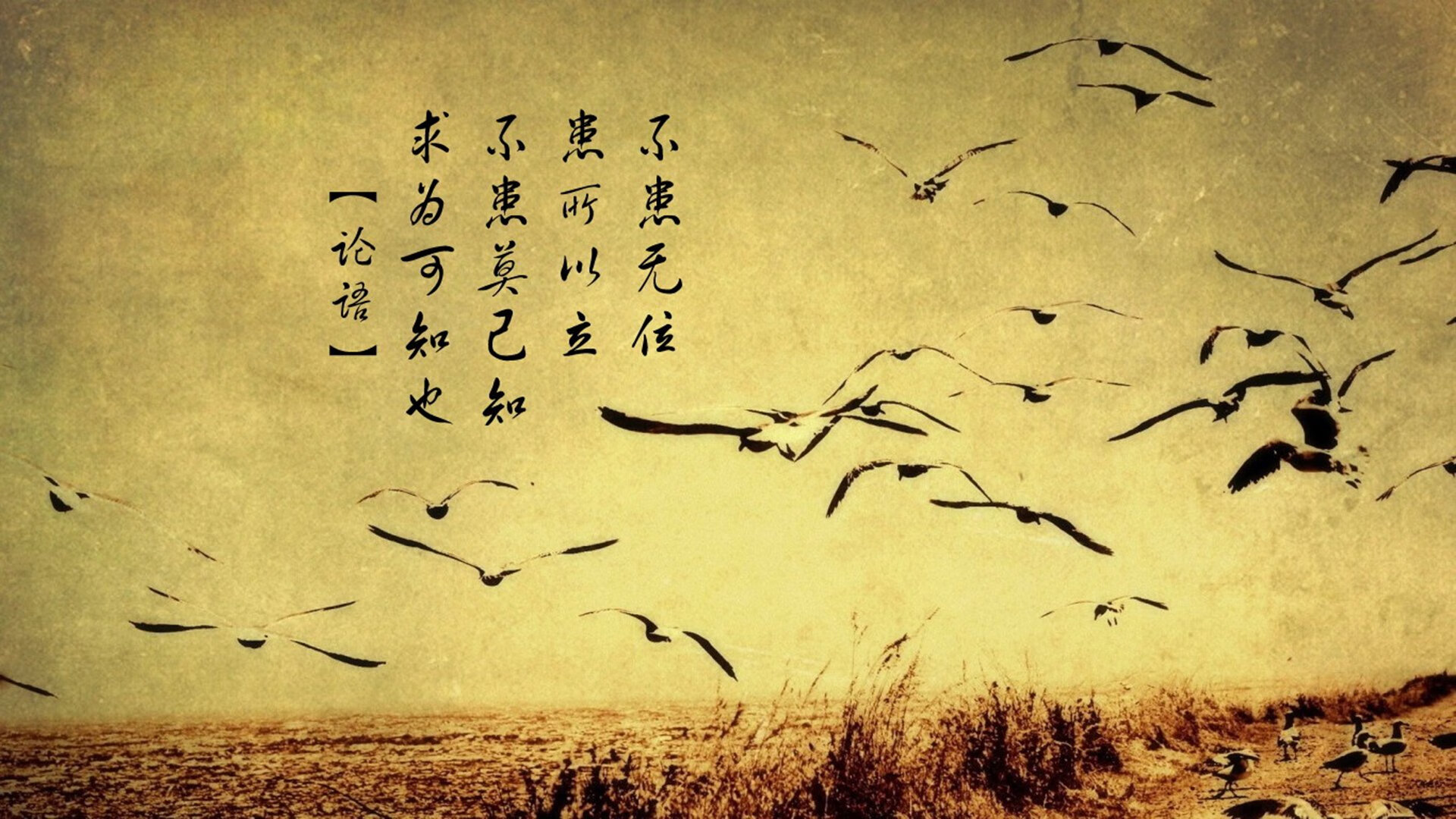 职业联赛注重提升裁判执法水平保障比赛公平公正，裁判执法能力